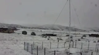 Jizzaxda bahor o'rtasida qor yog'di, qalinligi 2 smga yetdi