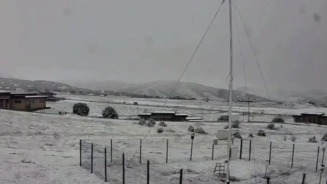 Jizzaxda bahor o'rtasida qor yog'di, qalinligi 2 smga yetdi