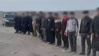 Navoiyda 111 mlrd so'mlik noqonuniy oltin qazish faoliyati fosh etildi