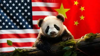 Xitoy AQShga diplomatiya doirasida ikki dona panda yuboradi