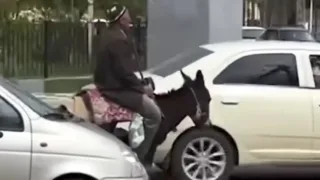Jizzaxda eshakda ketayotgan otaxon svetofor qoidalariga amal qildi