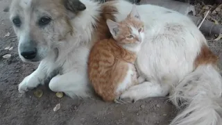 Ko'p kvartirali uylardan foydalanishning yangi qoidalari tasdiqlandi
