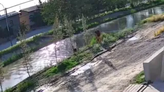 Namanganda kanalga tushib ketgan 3 yoshli bola qutqarib qolindi