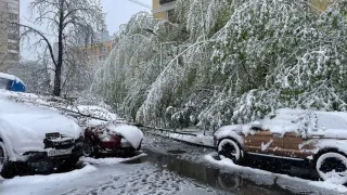 Moskvada bahorda qor bo'roni: kuchli shamol va «sariq» xavf darajasi e'lon qilindi