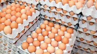 Qozog‘iston tuxum importiga olti oylik taqiq joriy etdi