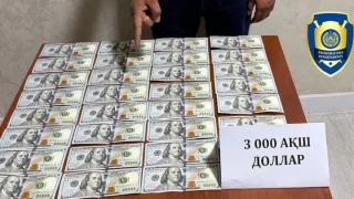 Andijon viloyatida 3 000 dollar pora olgan kadastr rahbari ushlandi