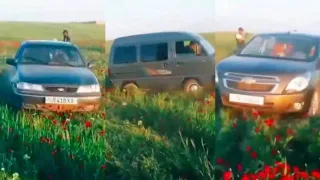 Qashqadaryoda lolazorga zarar yetkazgan haydovchilar jarimaga tortildi