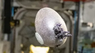 NASA astronavti fazoda «Marslik» filmi uslubida kartoshka yetishtirdi