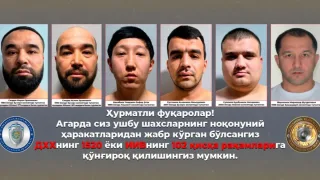 Chirchiqda jamoat tartibini buzgan uyushgan guruh qo'lga olindi