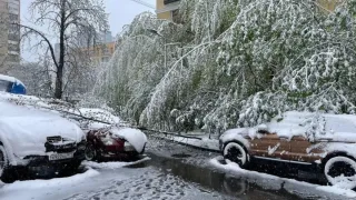 Moskvada kuchli qor yog'ishi oqibatida transport harakati to'xtab qoldi