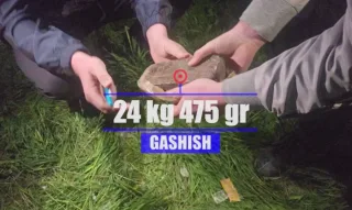 Andijonda 24 kilogramm gashish kontrabandasi fosh etildi