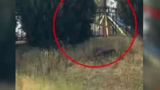 Andijondagi istirohat bog'ida attraksion qulashi oqibatida fuqarolar jarohatlandi