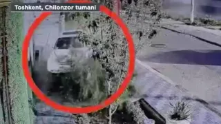 Chilonzorda guvohnomasiz haydovchi 11 yoshli bolani urib yubordi