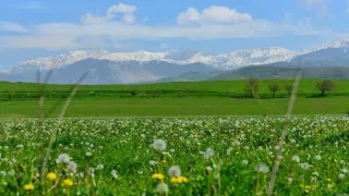 O‘zbekistonda bahorning so‘nggi haftasida ob-havo o‘zgaruvchan bo‘ladi