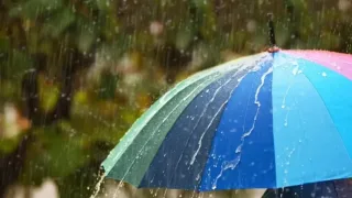 O'zbekistonda dam olish kunlari yomg'ir va harorat pasayishi kutilmoqda
