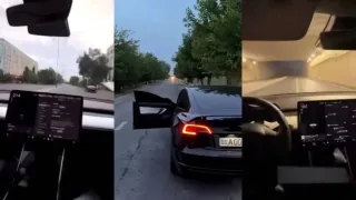 Toshkentda yuqori tezlikda harakatlangan Tesla haydovchisi javobgarlikka tortildi