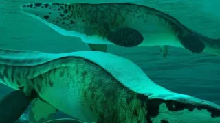 Olimlar dengizda yashagan yangi yirtqich turini aniqlashdi
