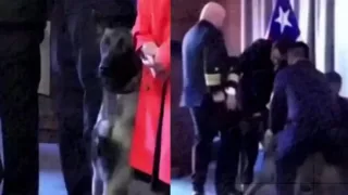 Chilida xizmat iti harbiy tadbirda vitse-admiralni tishlab oldi
