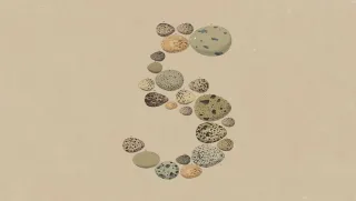 Anthropic kompaniyasi yangi va arzonroq Opus 5 modelini taqdim etdi
