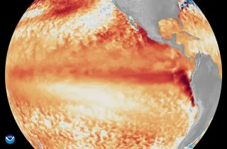 Super El-Nino hodisasi dunyo iqlimiga jiddiy xavf solmoqda