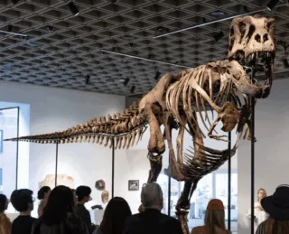 Tiranozavr skeleti kimoshdi savdosida rekord darajadagi narxga sotildi