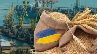 Ukraina noqonuniy g‘alla savdosiga aloqador kompaniyalarga sanksiya kiritdi