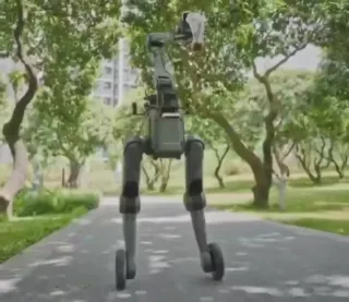 Xitoyda vazifasiga qarab shaklini o‘zgartiruvchi yangi robot yaratildi
