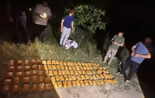 Qibrayda daraxtzorlar orasidan yirik miqdordagi gashish topildi