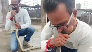 Hindistonda erkak hushsiz yotgan ilonni sun’iy nafas bilan qutqardi