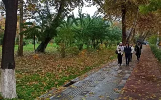 O‘zbekistonda oktyabr oyi salqin va yomg‘irli ob-havo bilan boshlanadi