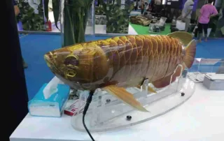 Xitoyda suv osti tadqiqotlari uchun yangi bionik robot yaratildi