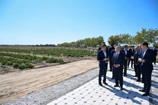 Prezident Kegeylidagi intensiv bog‘ faoliyati va imkoniyatlari bilan tanishdi
