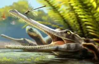 Britaniyalik olimlar qadimiy timsohning yangi turini aniqlashdi