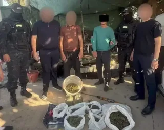 Qibrayda yirik hajmdagi giyohvandlik moddalari va qurol musodara qilindi