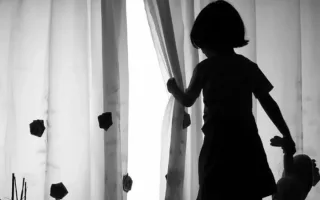Jizzaxdagi jinoyat ishi bo‘yicha yangi tafsilotlar ma’lum qilindi