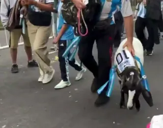 Argentinalik muxlislar Messiga bo‘lgan ehtiromini noodatiy tarzda namoyish etdi