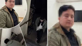 Toshkentda mushukka shafqatsizlik qilgan shaxsning shaxsi aniqlandi