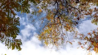 3 oktyabr kuni O‘zbekistonda kutilayotgan ob-havo ma’lumoti