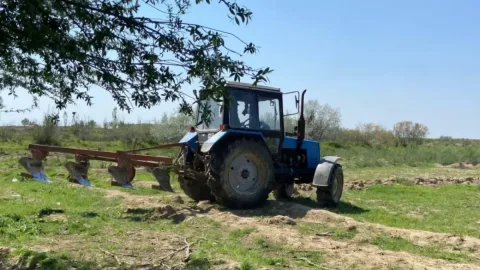 Mirzaobodda noqonuniy egallangan yer maydoni qonuniy egasiga qaytarildi