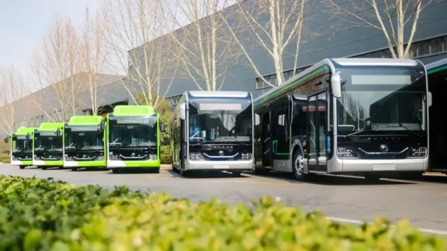 Toshkentda 240 ta avtobus xarid qilinib 16 ta yangi yo'nalish ochiladi