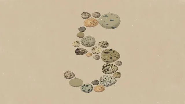 Anthropic kompaniyasi yangi va arzonroq Opus 5 modelini taqdim etdi