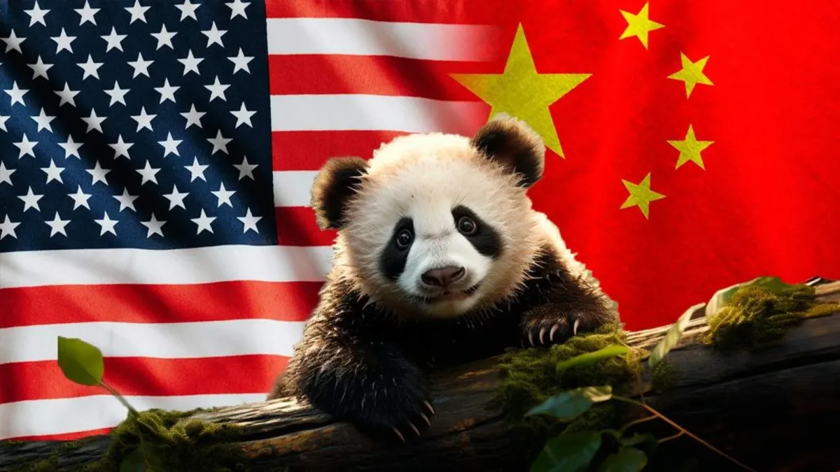 Xitoy AQShga diplomatiya doirasida ikki dona panda yuboradi