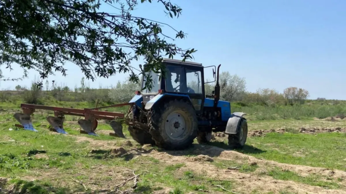 Mirzaobodda noqonuniy egallangan yer maydoni qonuniy egasiga qaytarildi