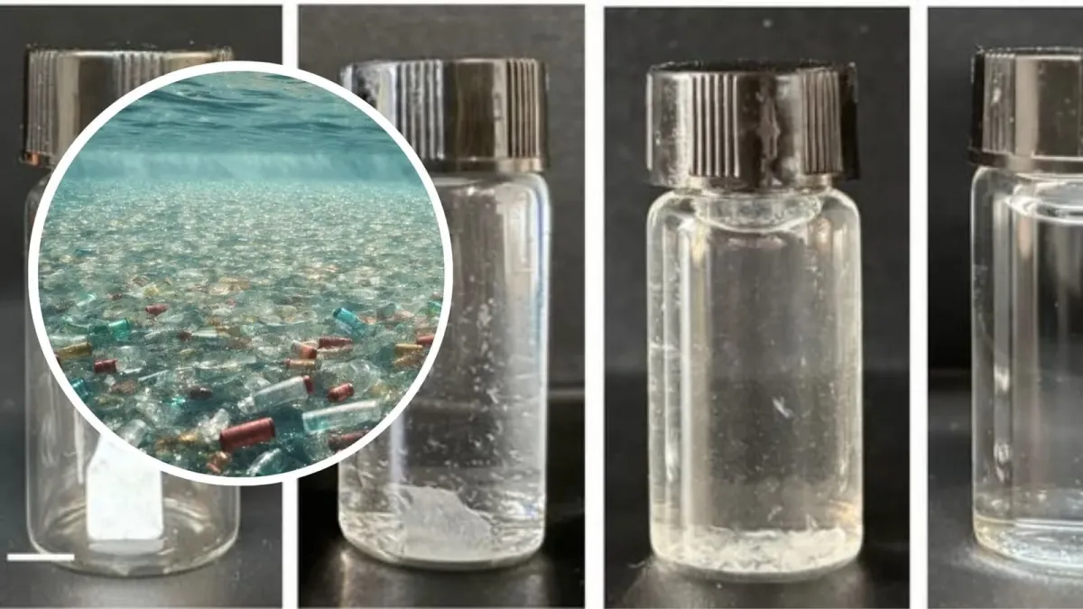 Olimlar olti kunda o'zini yo'q qiladigan plastik ixtiro qildi