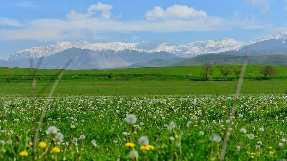 O‘zbekistonda bahorning so‘nggi haftasida ob-havo o‘zgaruvchan bo‘ladi