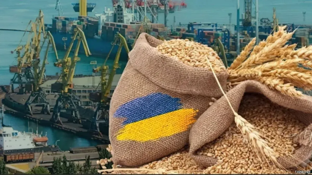 Ukraina noqonuniy g‘alla savdosiga aloqador kompaniyalarga sanksiya kiritdi