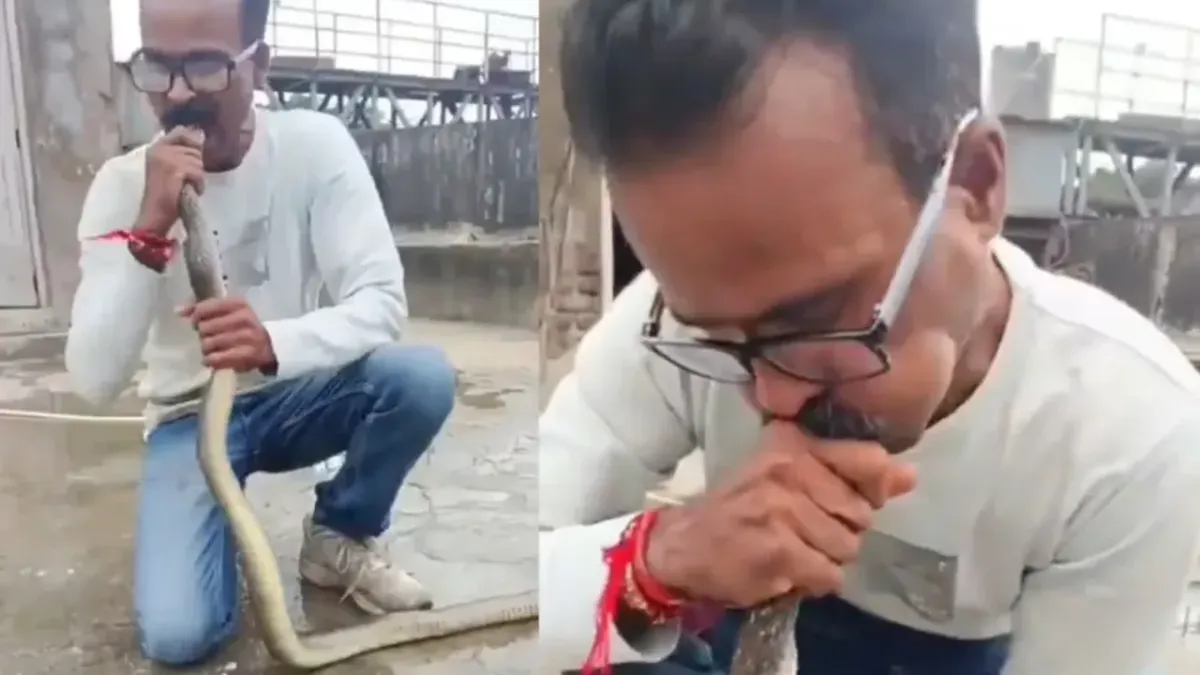 Hindistonda erkak hushsiz yotgan ilonni sun’iy nafas bilan qutqardi