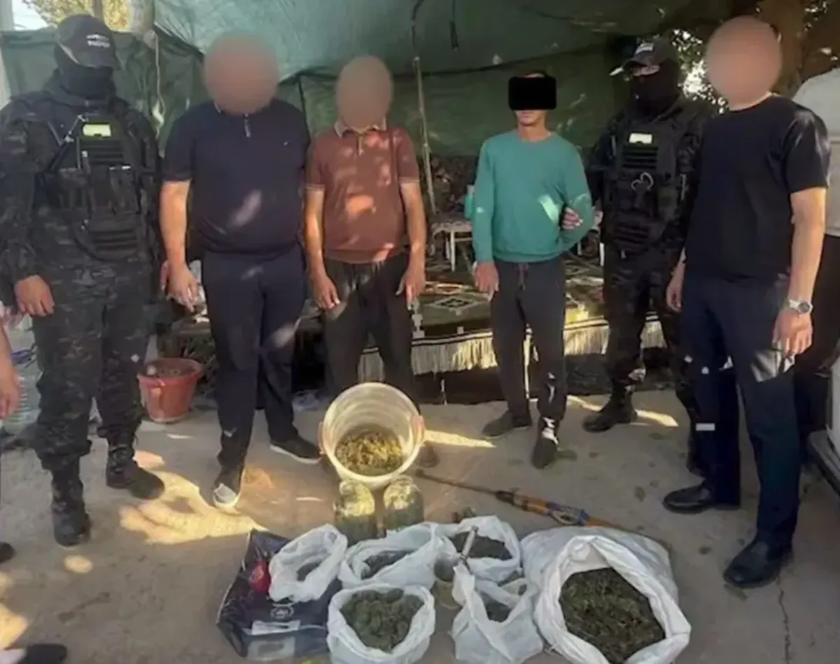 Qibrayda yirik hajmdagi giyohvandlik moddalari va qurol musodara qilindi