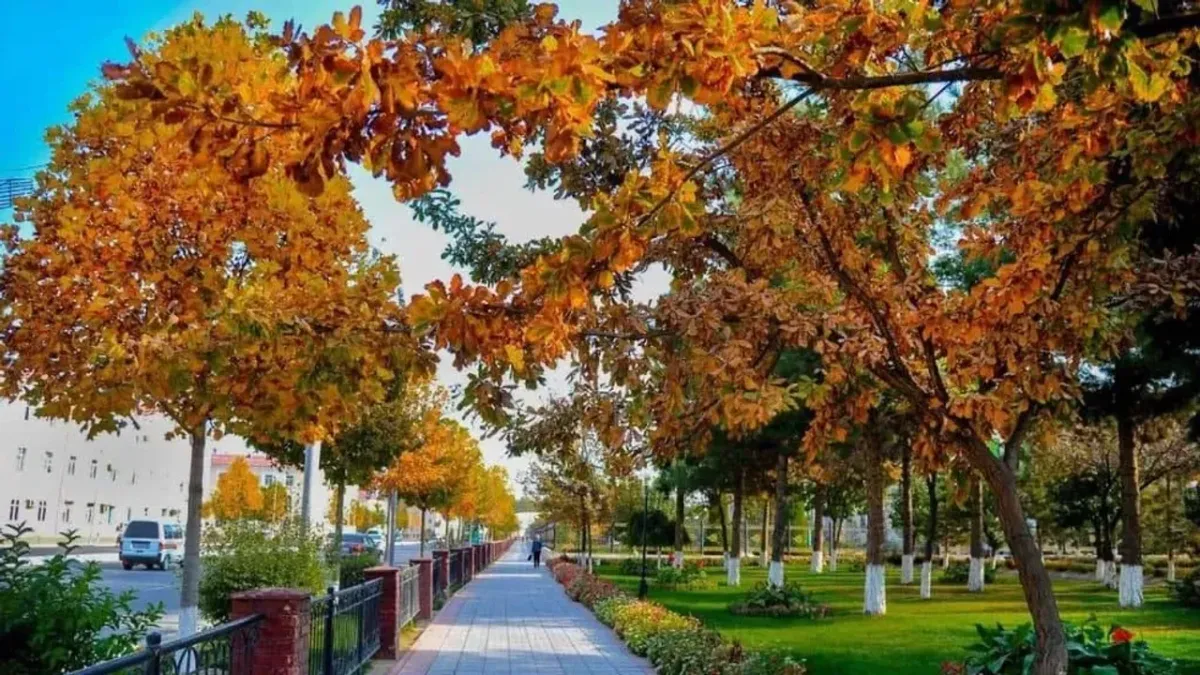 O‘zbekistonda ish haftasi davomida qulay ob-havo sharoiti kutilmoqda