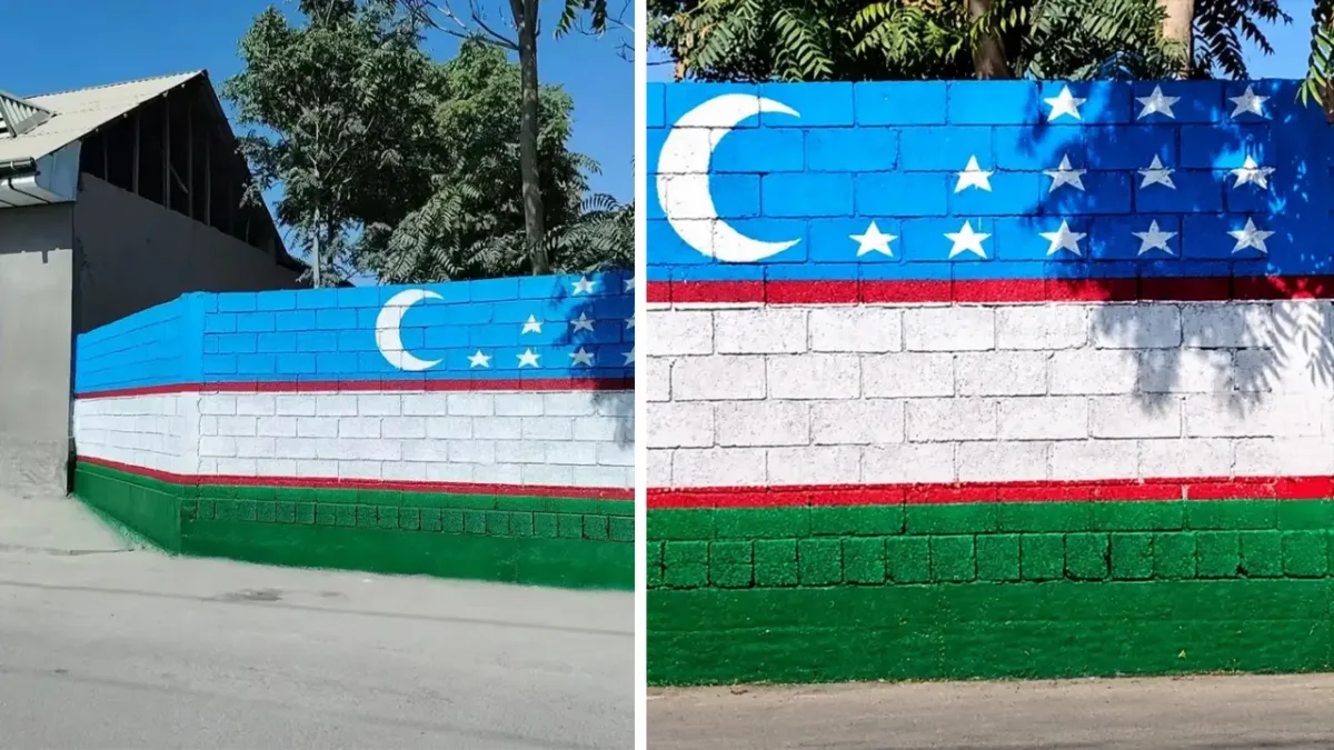 Uy devorini bayroq rangiga bo‘yagan fuqaro ogohlantirildi